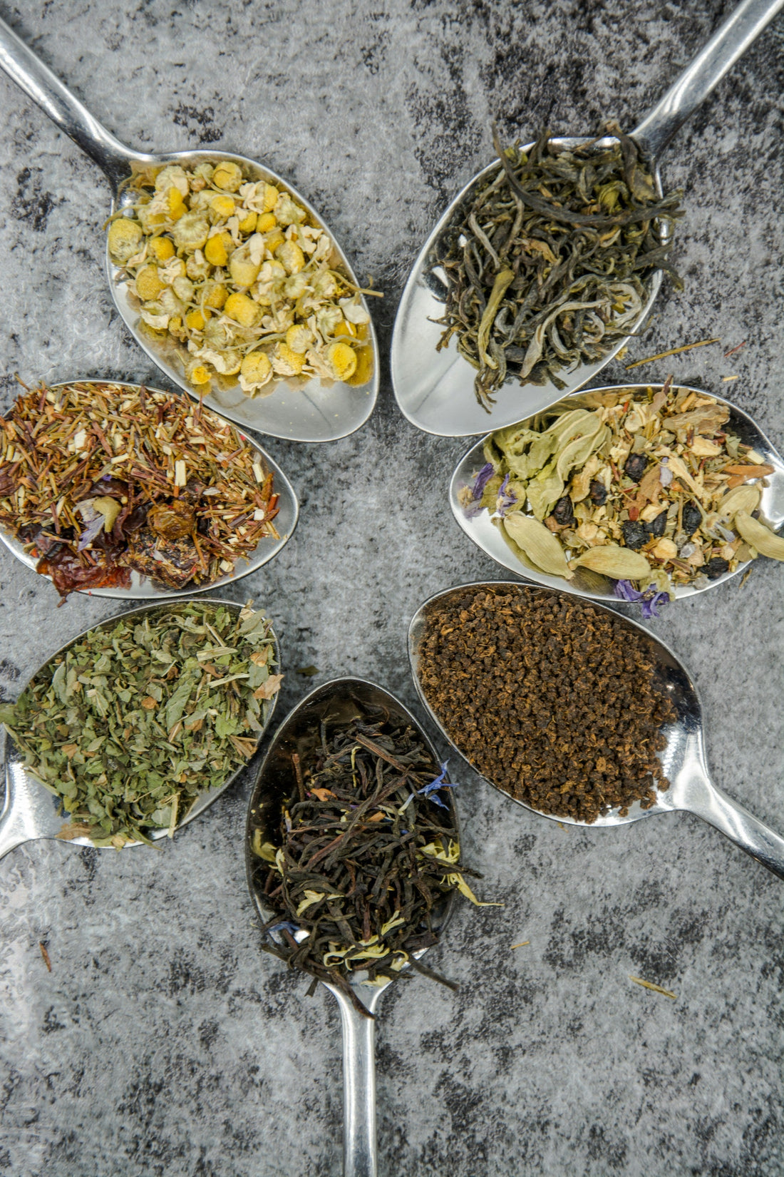 Adaptogens 101: What They Are and Why Everyone’s Talking About Them