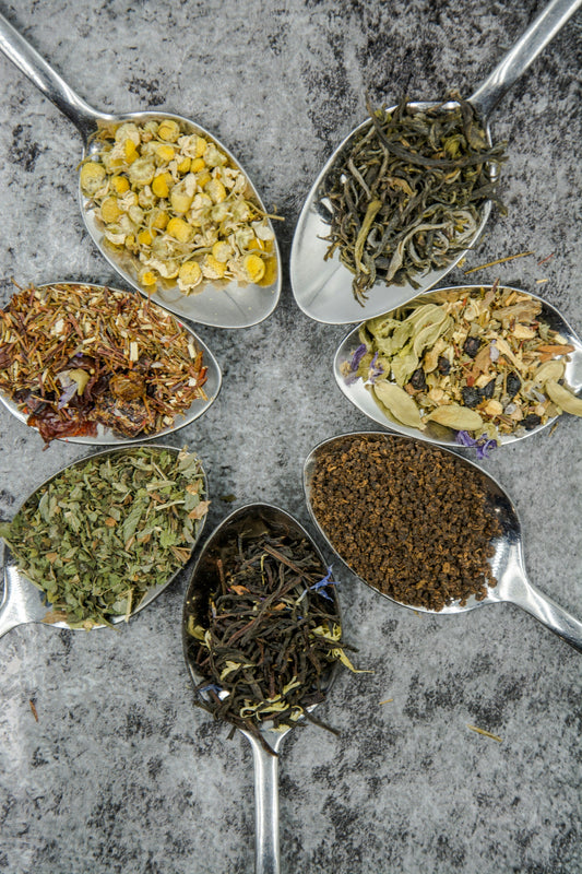 Adaptogens 101: What They Are and Why Everyone’s Talking About Them