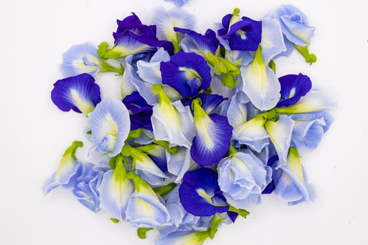4 Herbs I Use to Build Real Immune Resilience