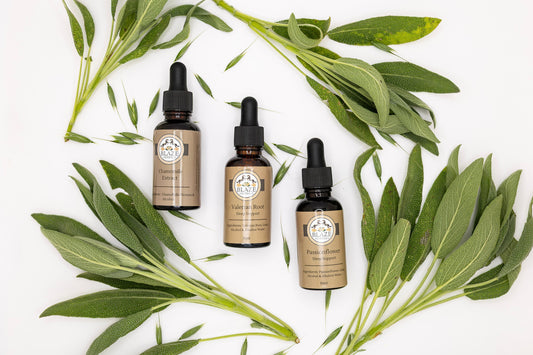 Natural Sleep Support: Which Herb Actually Fits Your Kind of Sleepless Night