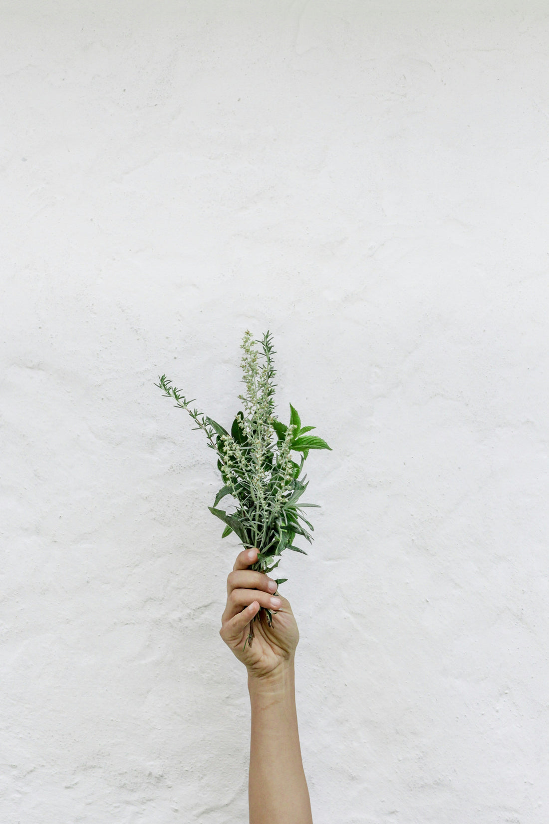 Why More People Are Turning to Herbs Instead of Pharmaceuticals (& 3 Powerful Herbs to Start With)