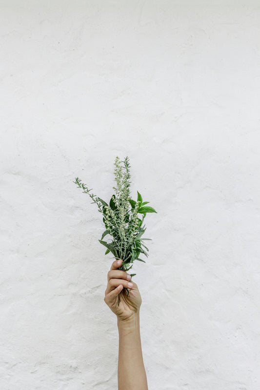 Why More People Are Turning to Herbs Instead of Pharmaceuticals (& 3 Powerful Herbs to Start With)