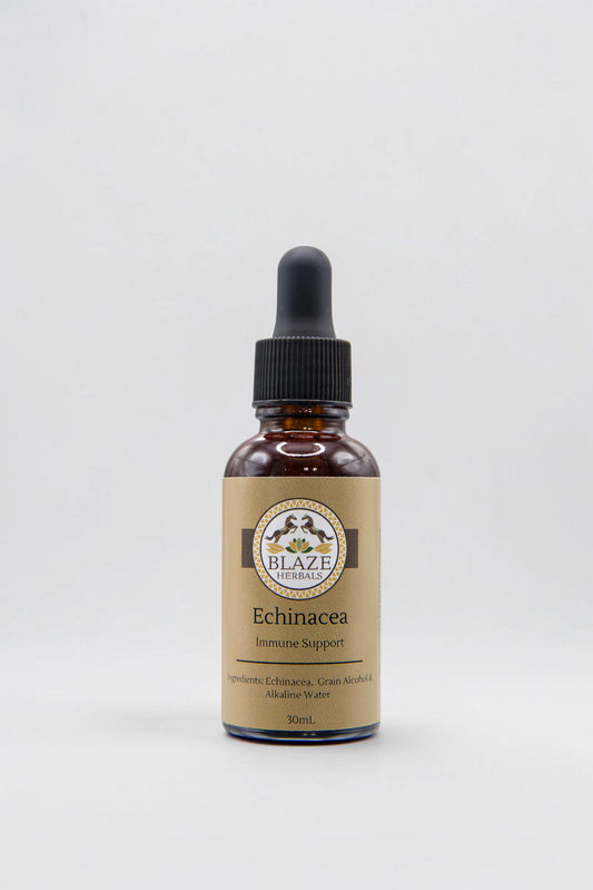 Echinacea