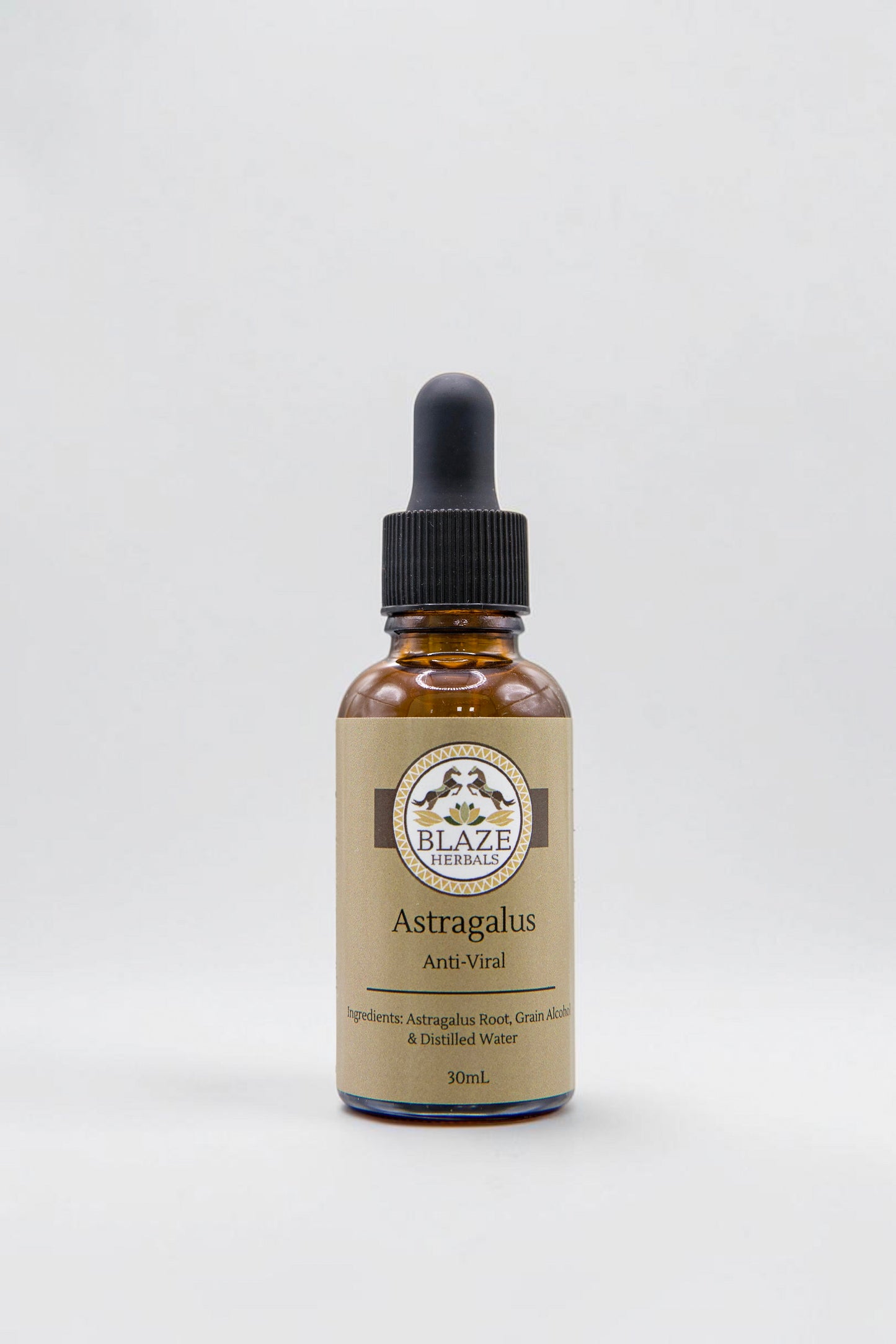 Astragalus