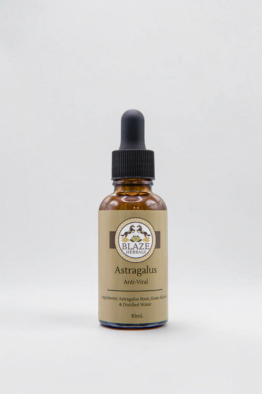 Astragalus